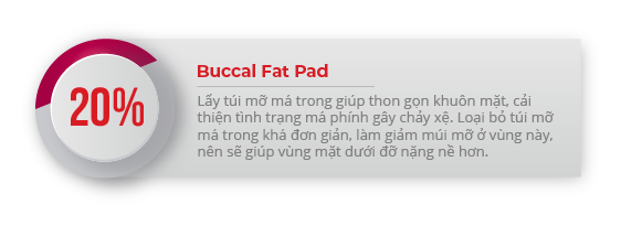 buccal fat pad